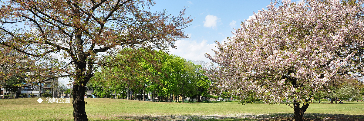 篠崎公園